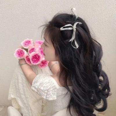 霹雳皇龙纪