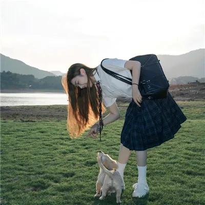 北极狗